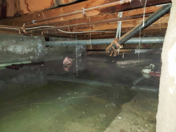 Best 24-hour water damage restoration  in Bangor, ME