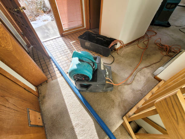 Best Sewage cleanup and water damage restoration  in Bangor, ME