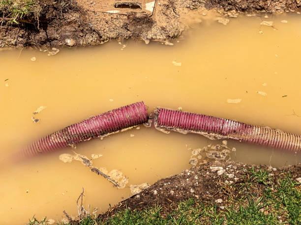 Best Sewage cleanup and water damage restoration  in Bangor, ME